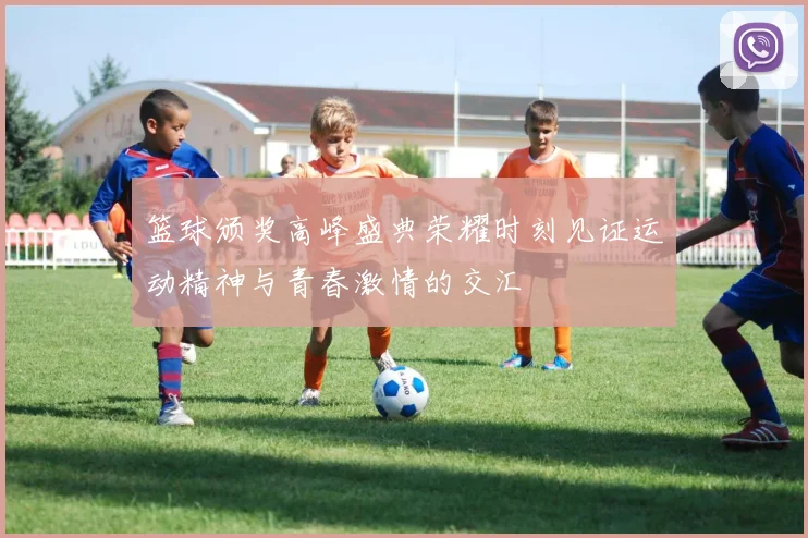 篮球颁奖高峰盛典荣耀时刻见证运动精神与青春激情的交汇