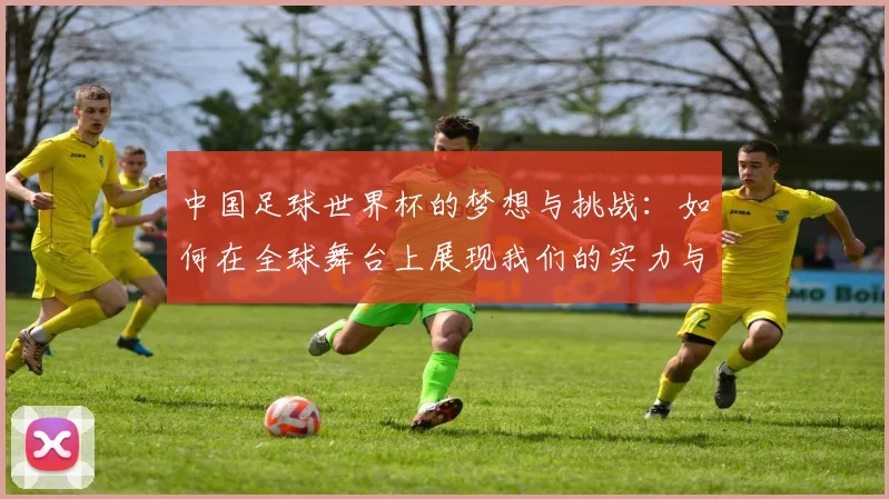 中国足球世界杯的梦想与挑战：如何在全球舞台上展现我们的实力与热情