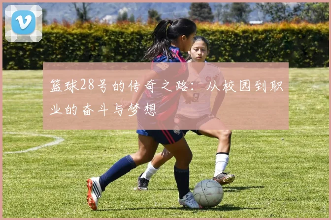 篮球28号的传奇之路：从校园到职业的奋斗与梦想