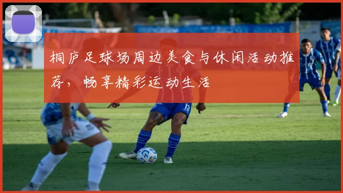 桐庐足球场周边美食与休闲活动推荐，畅享精彩运动生活
