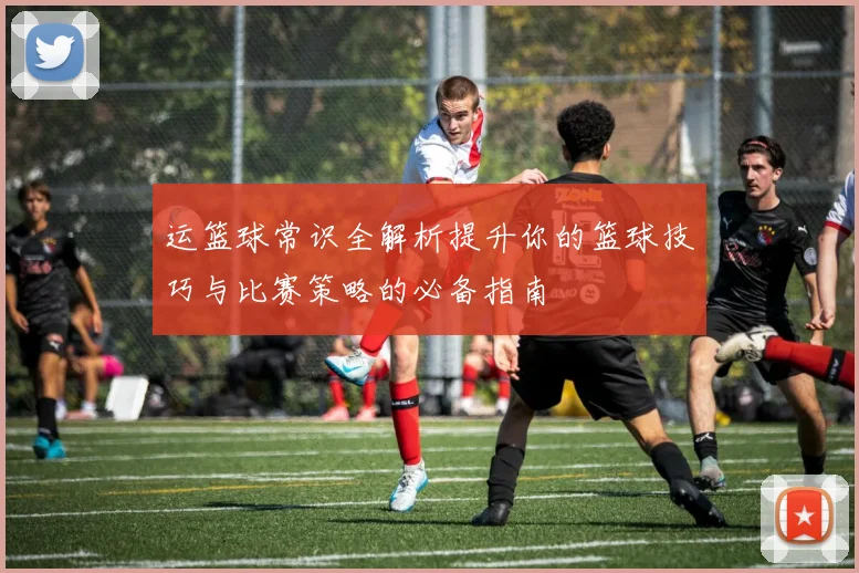 运篮球常识全解析提升你的篮球技巧与比赛策略的必备指南