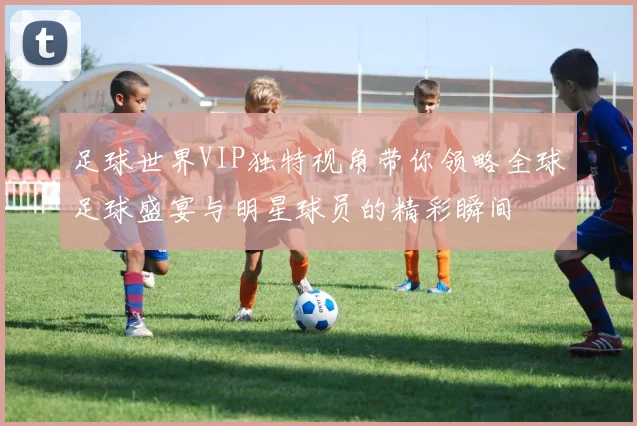 足球世界VIP独特视角带你领略全球足球盛宴与明星球员的精彩瞬间