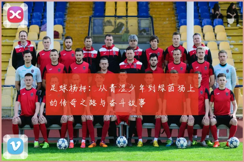 足球杨柯：从青涩少年到绿茵场上的传奇之路与奋斗故事